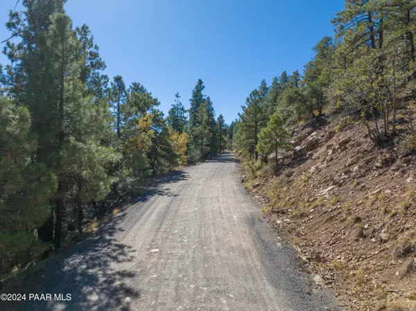 a view of a forest with a house in a background