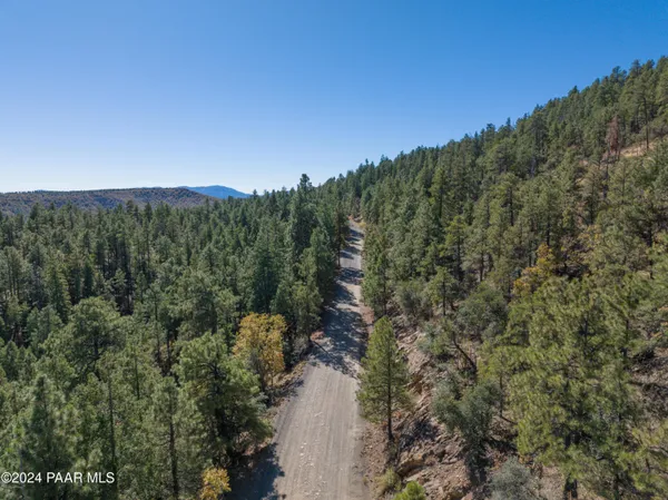 a view of a city with lush green forest