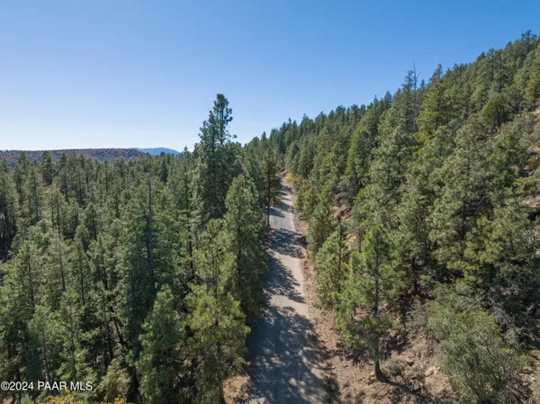 a view of a city with lush green forest