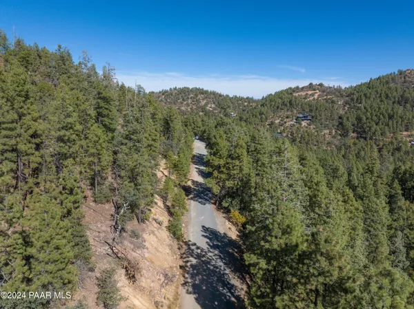 a view of a lush green forest with a building in front of it