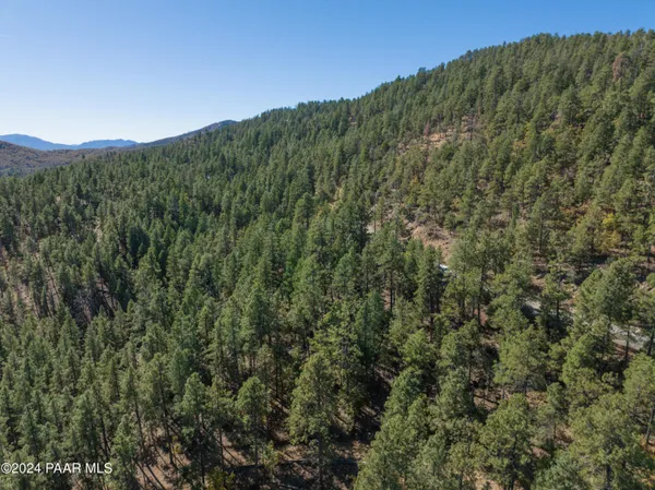 a view of a large building with a mountain in the background