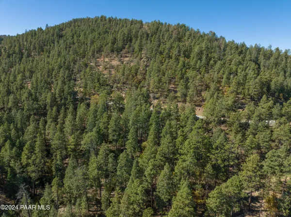 a view of a large green field with lots of bushes