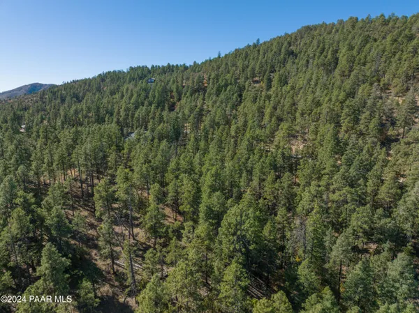 a view of a mountain range with trees