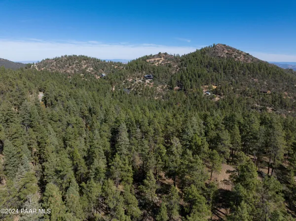 a view of a city with lush green forest