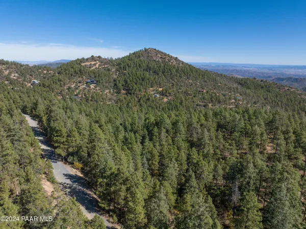 a view of a forest with a mountain