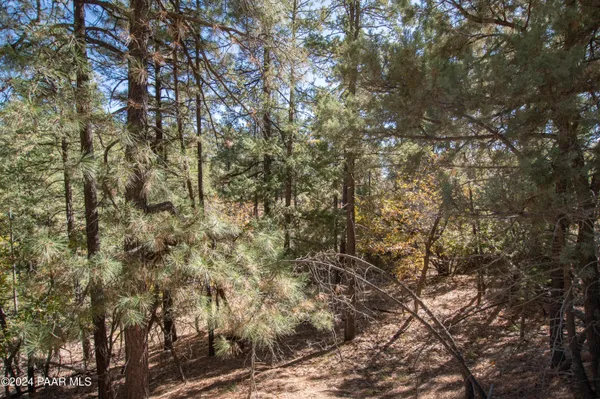 $300,000 | 7-xxx South Snowdrift Mine (lot 5) Road, Prescott, AZ 86303