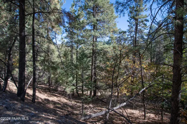 $300,000 | 7-xxx South Snowdrift Mine (lot 5) Road, Prescott, AZ 86303