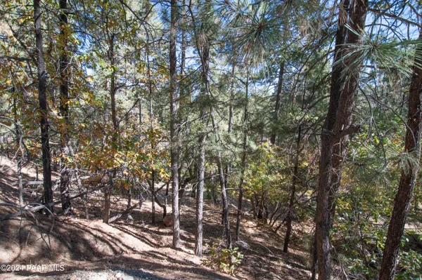 $300,000 | 7-xxx South Snowdrift Mine (lot 5) Road, Prescott, AZ 86303