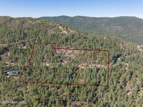 a view of a forest with mountains in the background