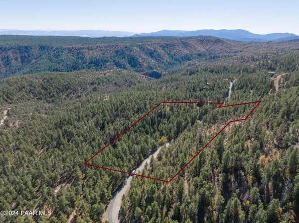 a view of a lush green forest with trees in the background