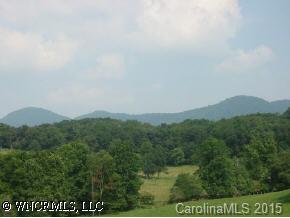 1085 Kims Cove Road Canton, NC 28716 - Photo 3 of 8 Gallery Image 3