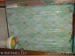 1085 Kims Cove Road Canton, NC 28716 - Photo 8 of 8 Gallery Image 8