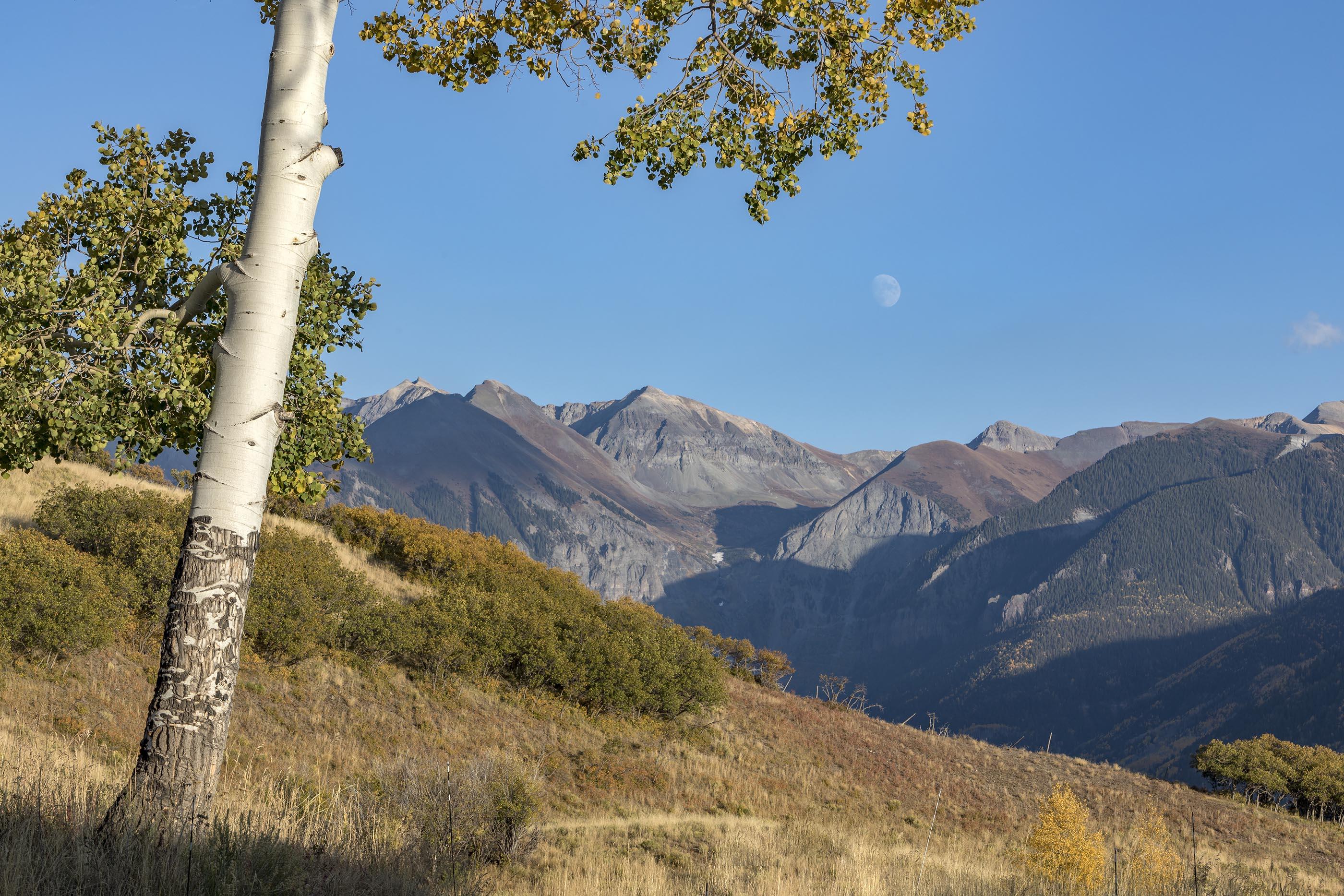 107 Miguel Road Telluride, CO 81435 - Photo 31 of 32 a view of a house with a yard