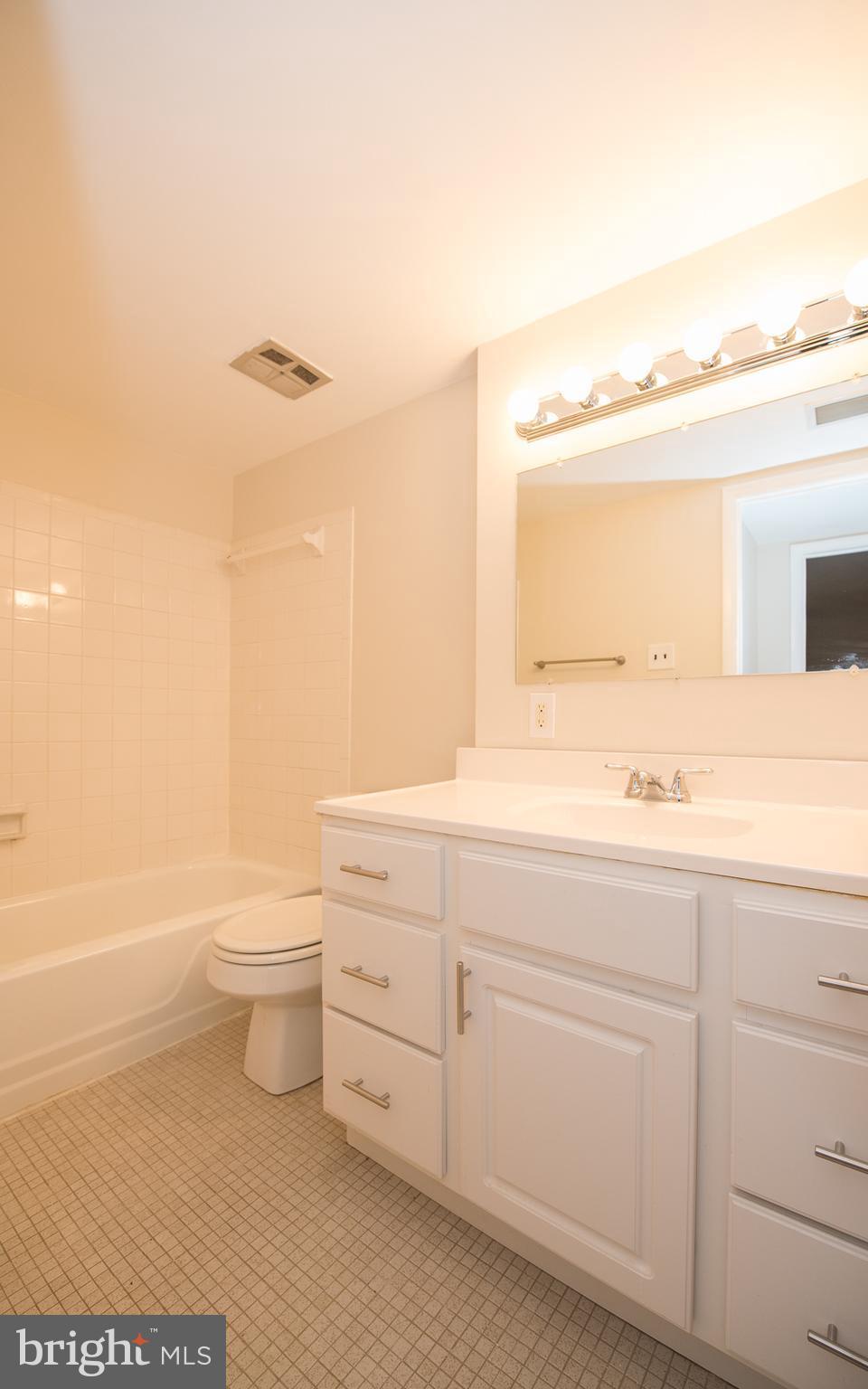 5232 West Running Brook Road, Unit 301 Columbia, MD 21044 - Photo 18 of 29 a bathroom with a sink a toilet and mirror