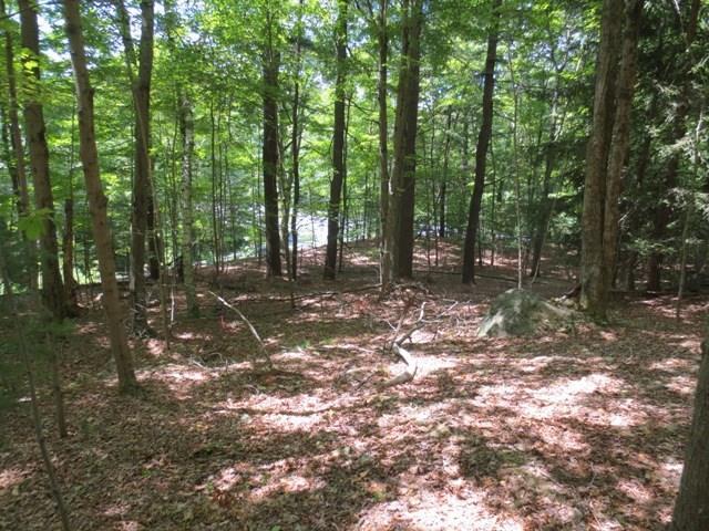 0 Edwards Road Bethany, CT 06524 - Photo 1 of 1 Gallery Image 1