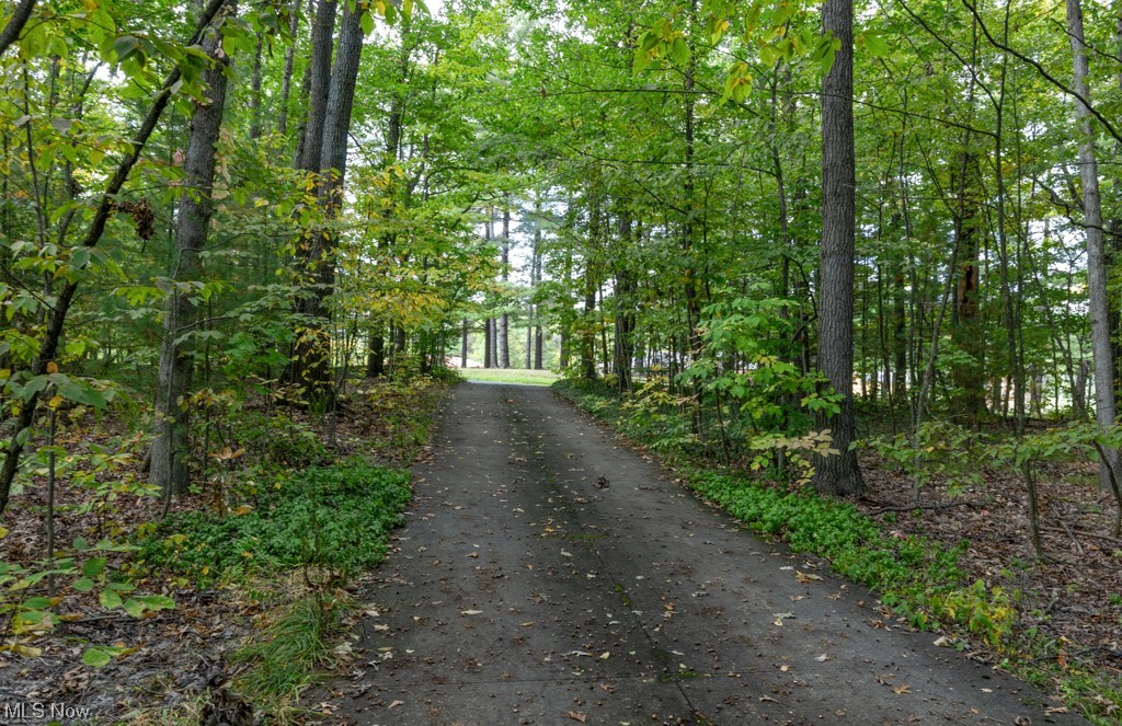 4616 Alliance Road Ravenna, OH 44266 - Photo 4 of 28 View to street