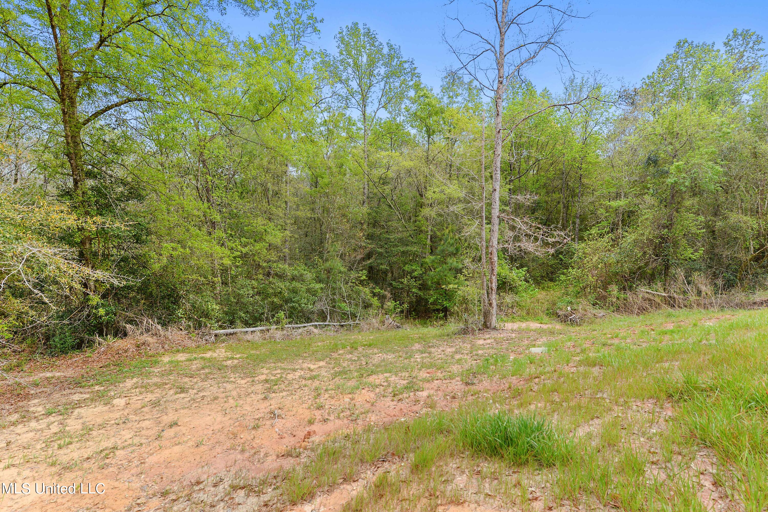 120 Bexley Church Road Lucedale, MS 39452 - Photo 23 of 24 023