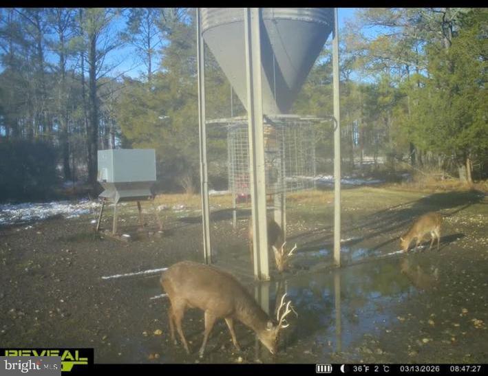 2373 Asquith Island Road Crapo, MD 21626 - Photo 29 of 93