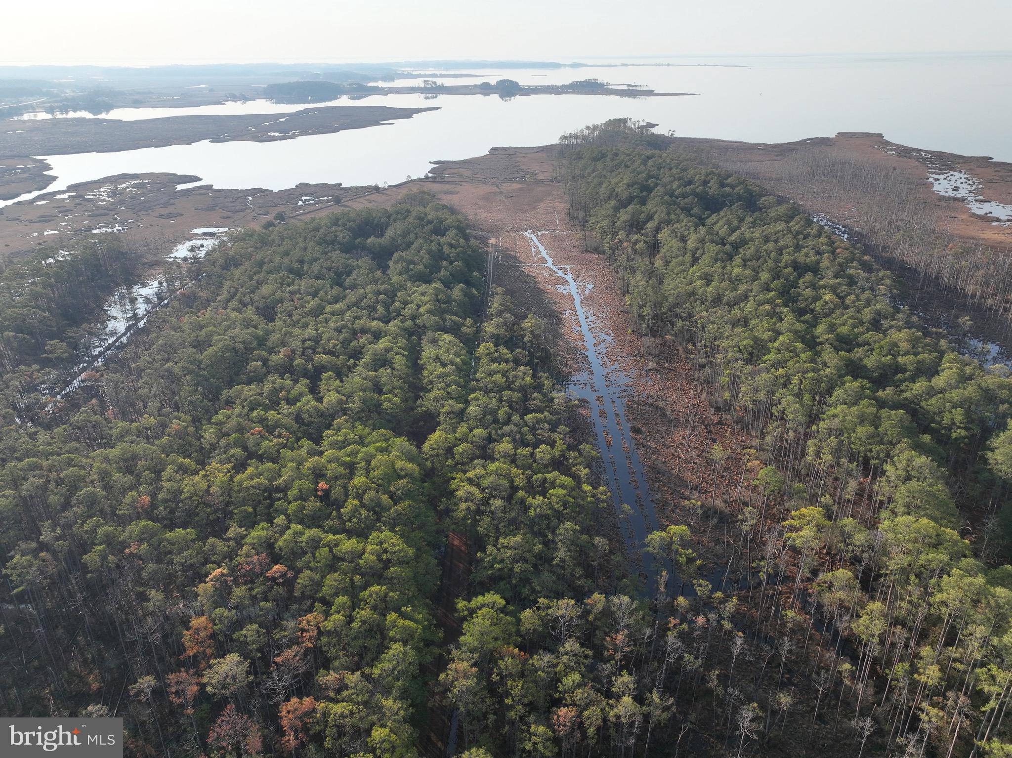 2373 Asquith Island Road Crapo, MD 21626 - Photo 32 of 93