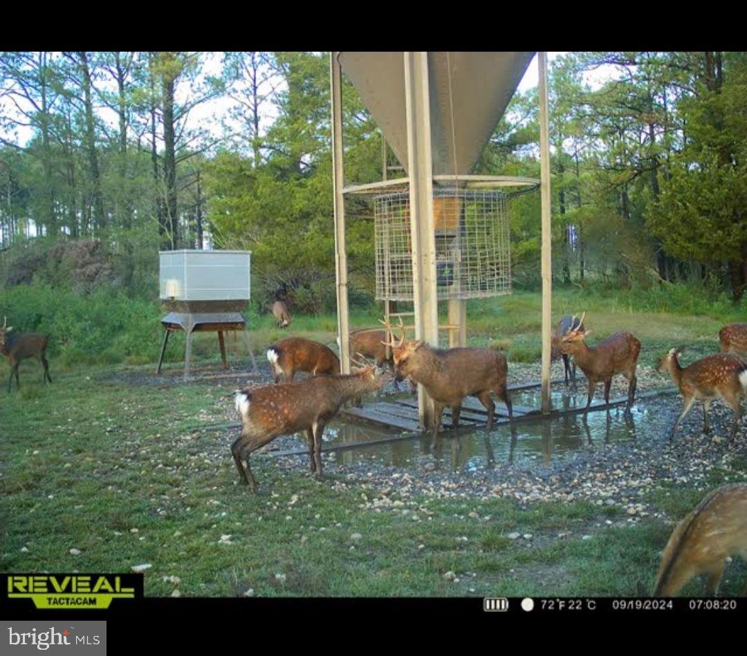 2373 Asquith Island Road Crapo, MD 21626 - Photo 4 of 93