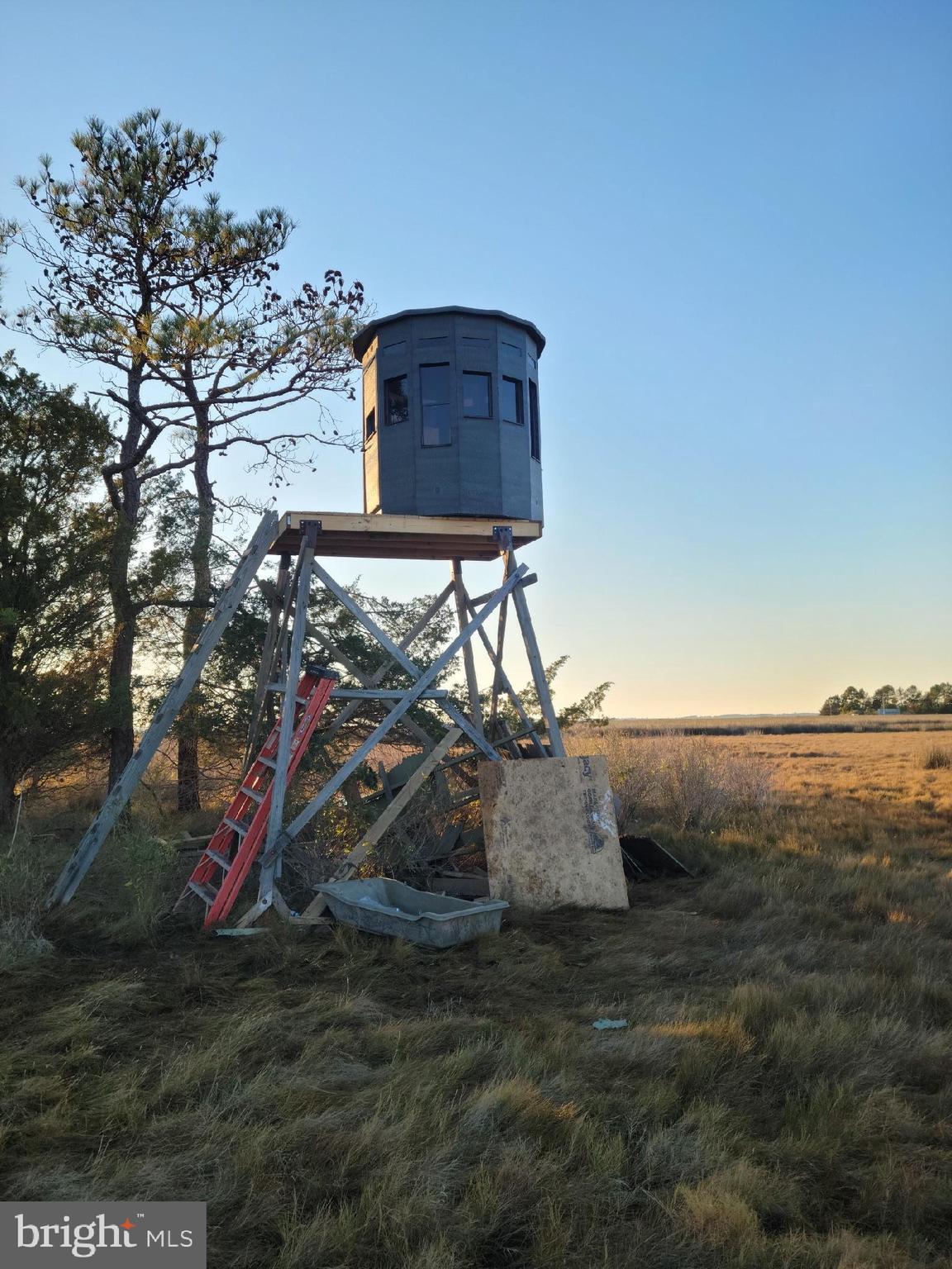 2373 Asquith Island Road Crapo, MD 21626 - Photo 54 of 93