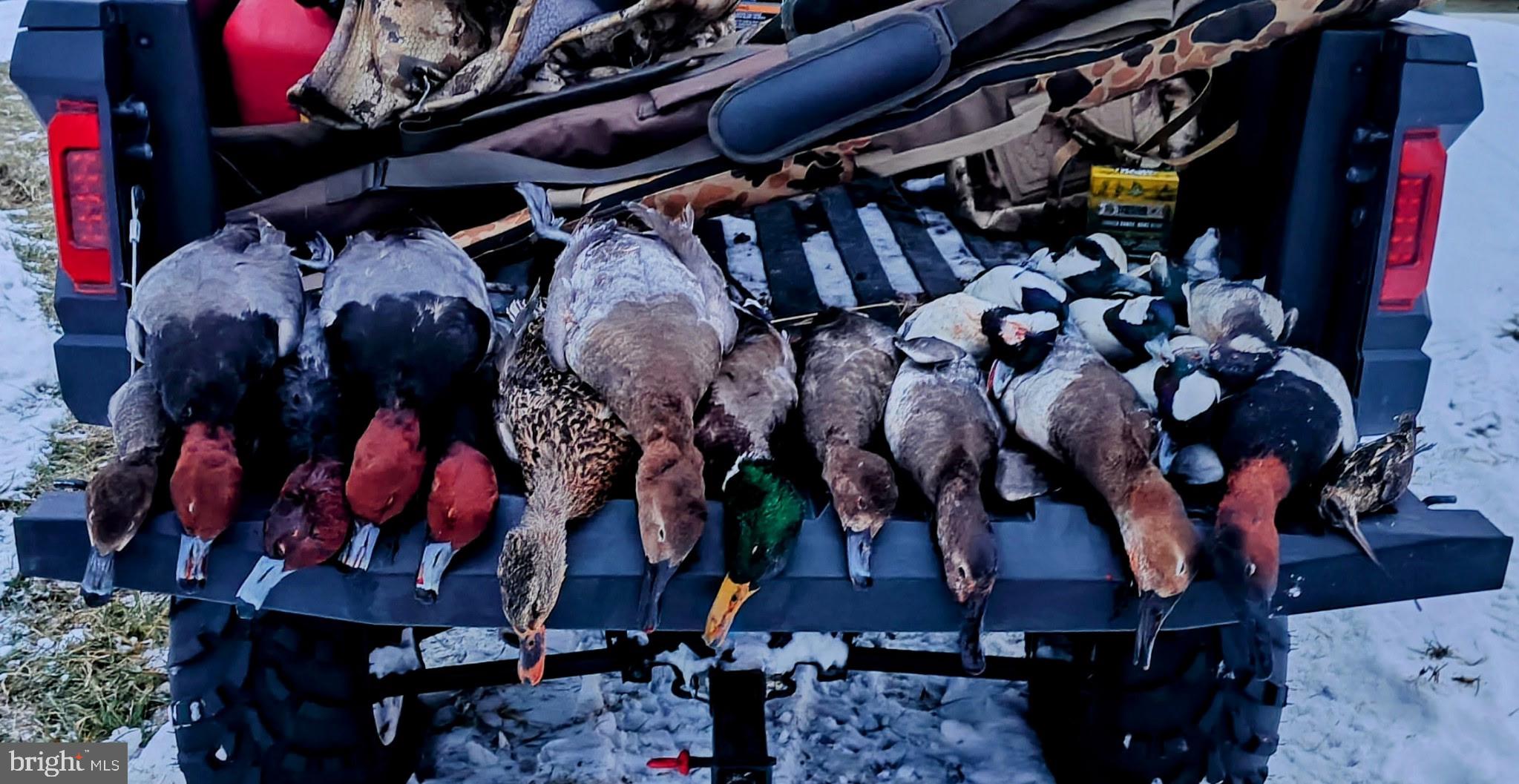 2373 Asquith Island Road Crapo, MD 21626 - Photo 57 of 93