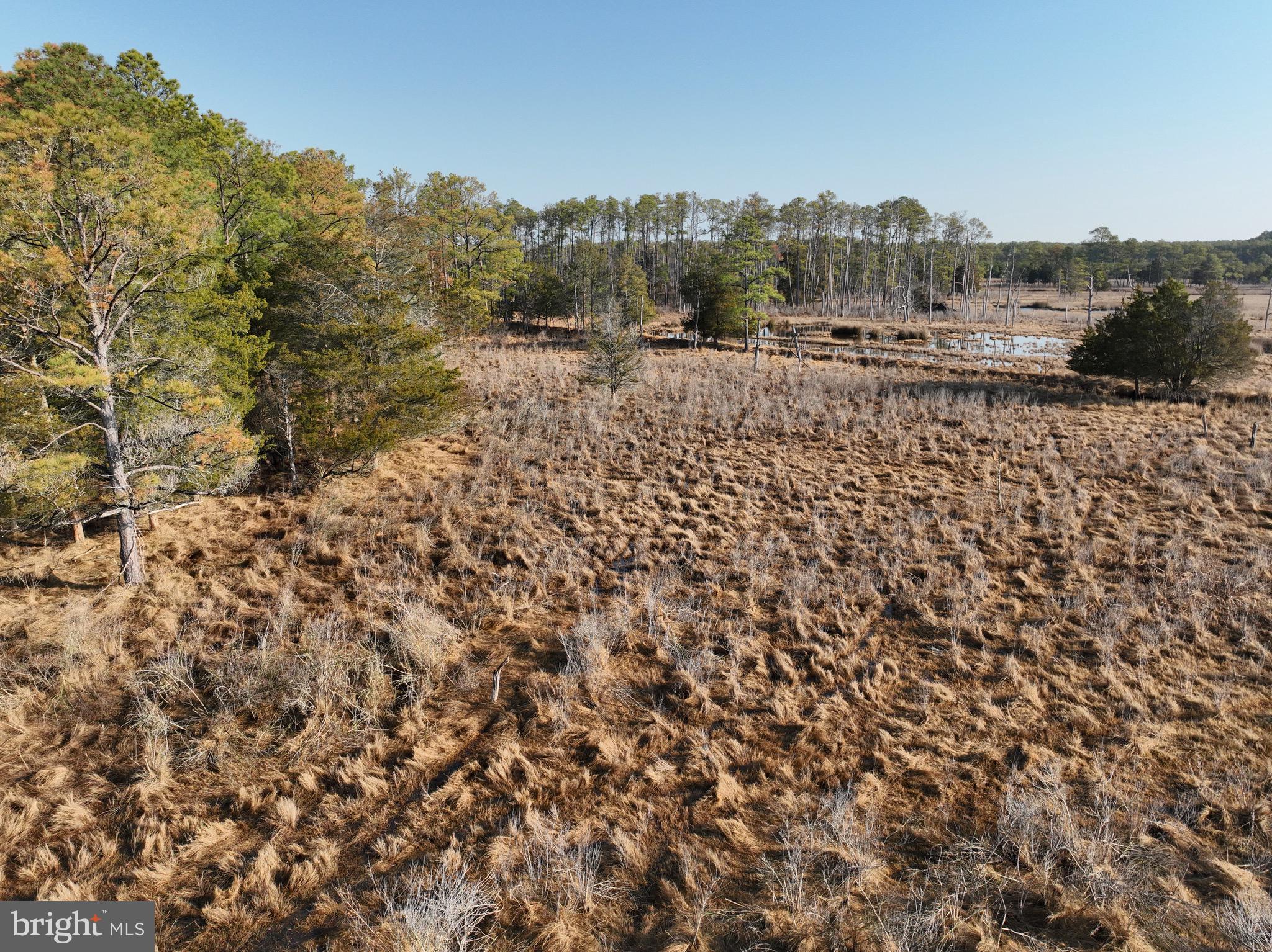 2373 Asquith Island Road Crapo, MD 21626 - Photo 73 of 93