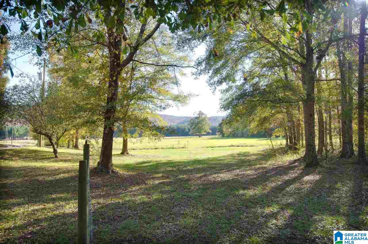 6145 Shoal Creek Road Ashville, AL 35953 - Photo 30 of 30