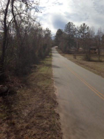 601 Parker Road Dry Branch, GA 31020 - Photo 2 of 3 Additional Photo