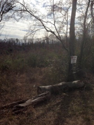 601 Parker Road Dry Branch, GA 31020 - Photo 3 of 3 Additional Photo