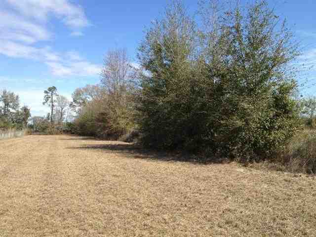 Vacant Southeast Bisbee Loop Madison, FL 32340 - Photo 12 of 16 Gallery Image 12