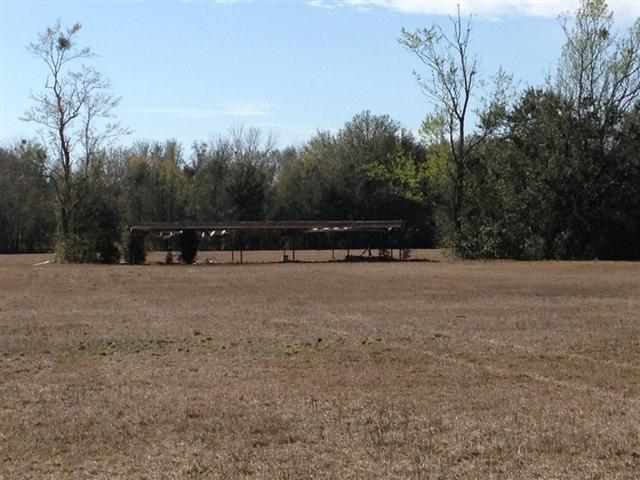 Vacant Southeast Bisbee Loop Madison, FL 32340 - Photo 2 of 16 Gallery Image 2
