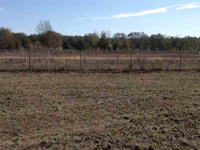 Vacant Southeast Bisbee Loop Madison, FL 32340 - Photo 3 of 16 Gallery Image 3