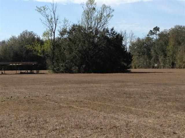 Vacant Southeast Bisbee Loop Madison, FL 32340 - Photo 4 of 16 Gallery Image 4