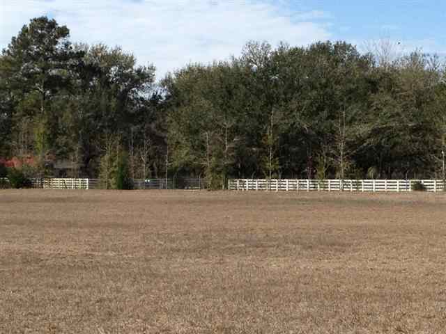 Vacant Southeast Bisbee Loop Madison, FL 32340 - Photo 6 of 16 Gallery Image 6