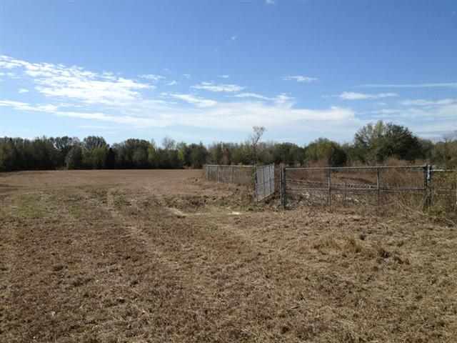 Vacant Southeast Bisbee Loop Madison, FL 32340 - Photo 8 of 16 Gallery Image 8
