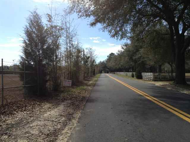 Vacant Southeast Bisbee Loop Madison, FL 32340 - Photo 9 of 16 Gallery Image 9