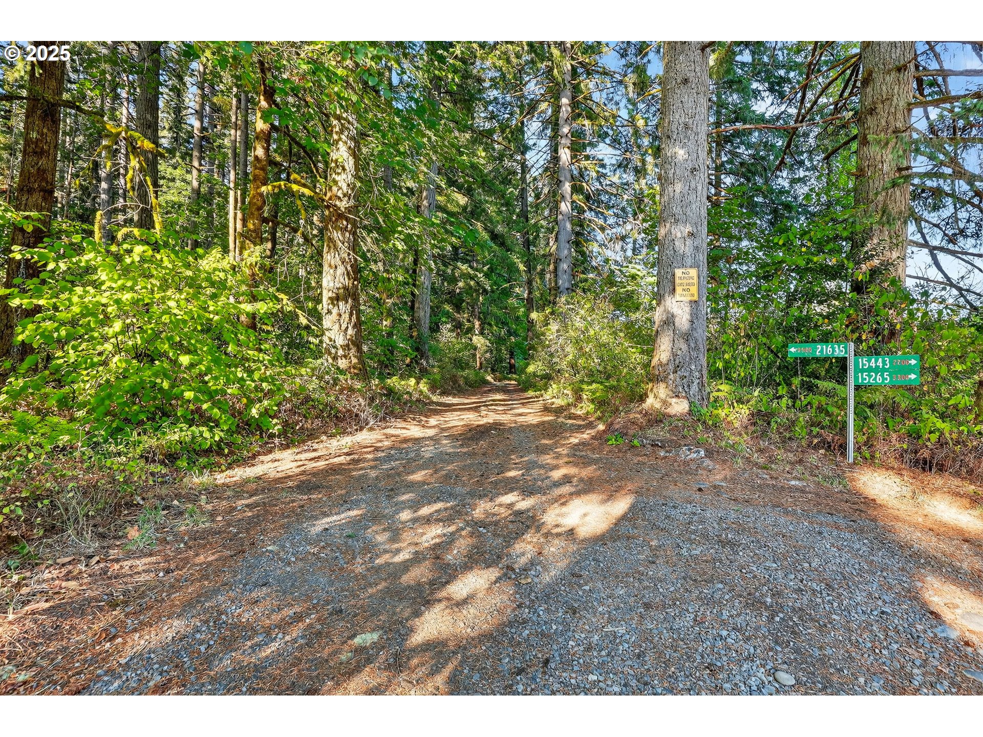0 South Latourette Road Oregon City, OR 97045 - Photo 16 of 33 a view of backyard with green space