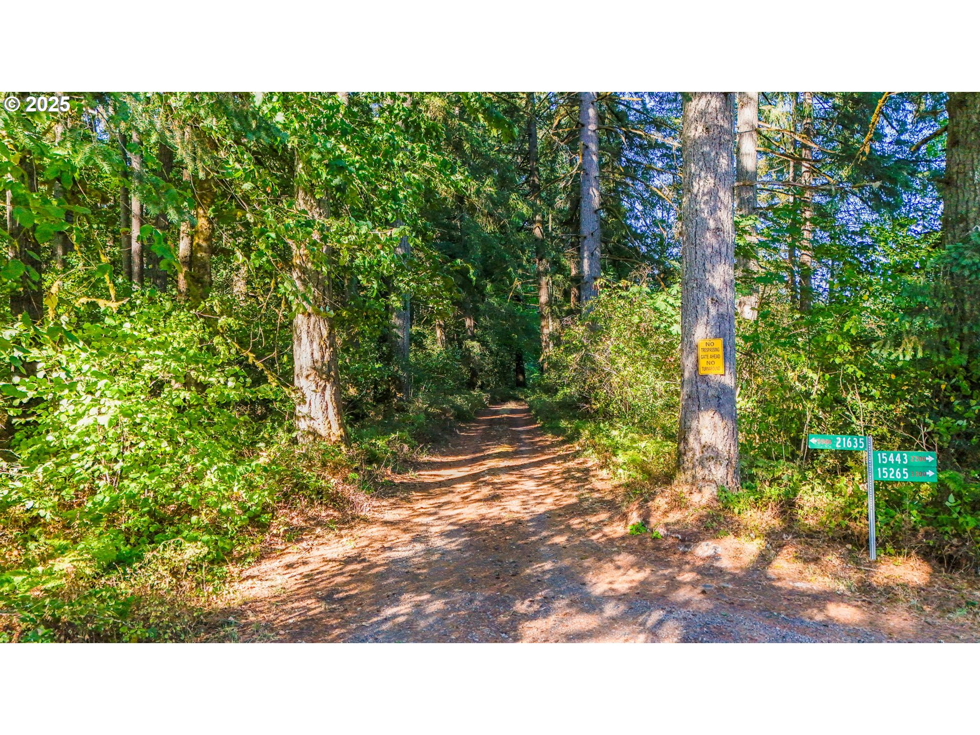 0 South Latourette Road Oregon City, OR 97045 - Photo 17 of 33 a open area with trees in front of it