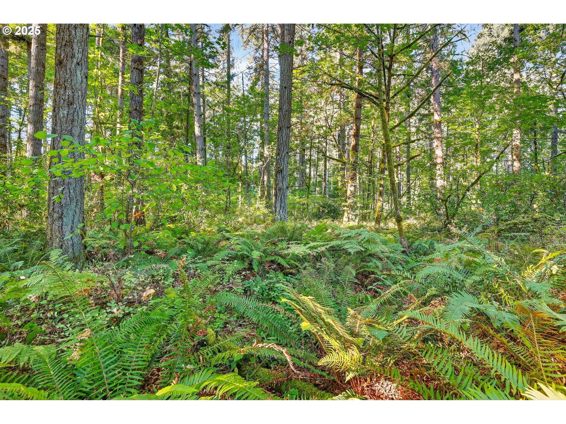 0 South Latourette Road Oregon City, OR 97045 - Photo 25 of 33 a view of a garden