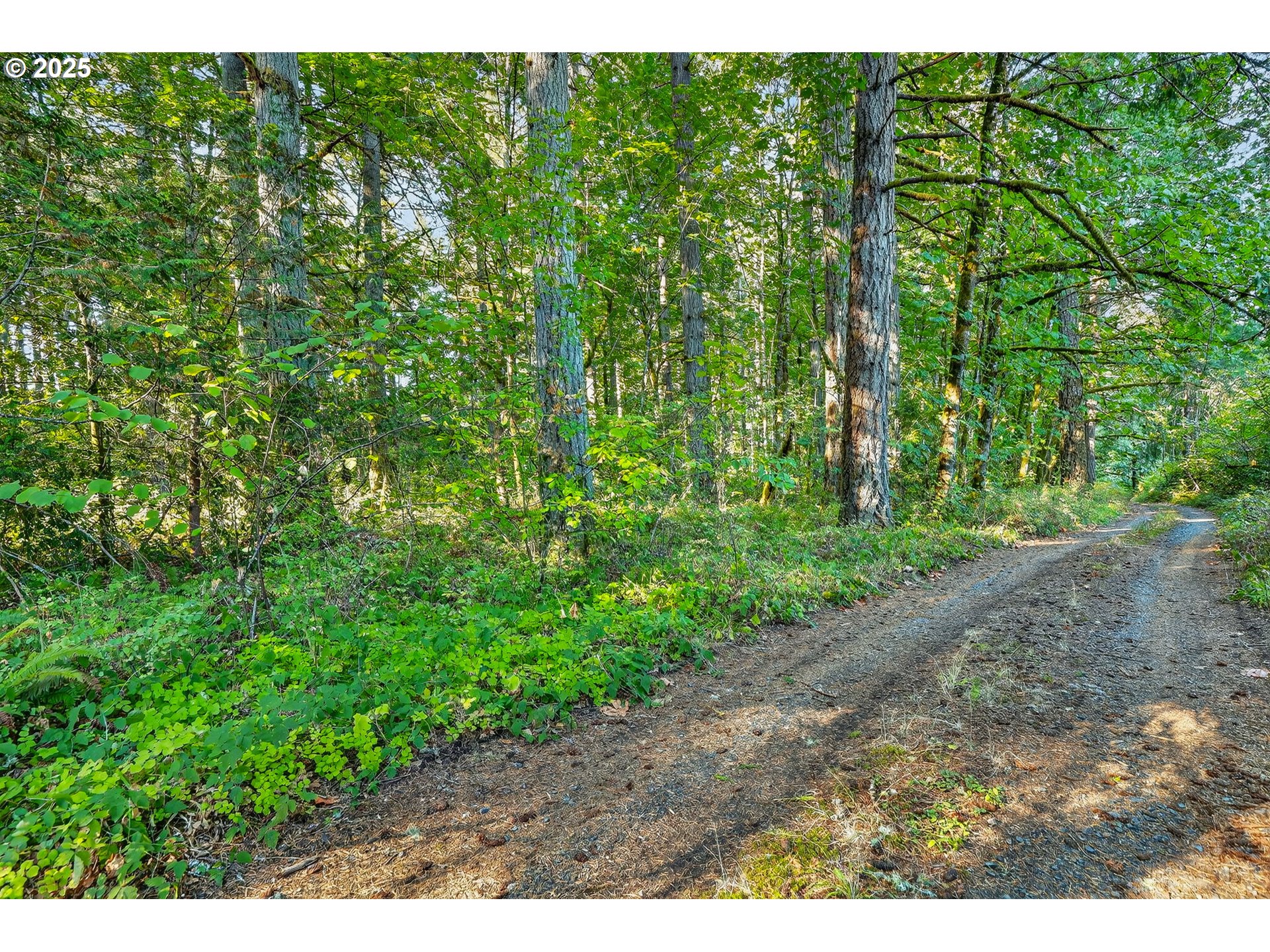 0 South Latourette Road Oregon City, OR 97045 - Photo 27 of 33 a view of a yard with plants and a bench