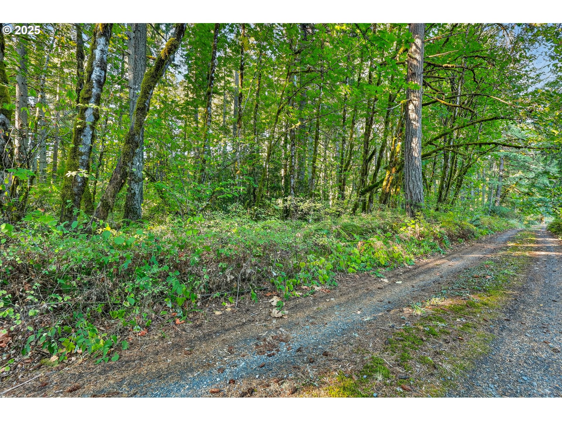 0 South Latourette Road Oregon City, OR 97045 - Photo 28 of 33 a view of a yard