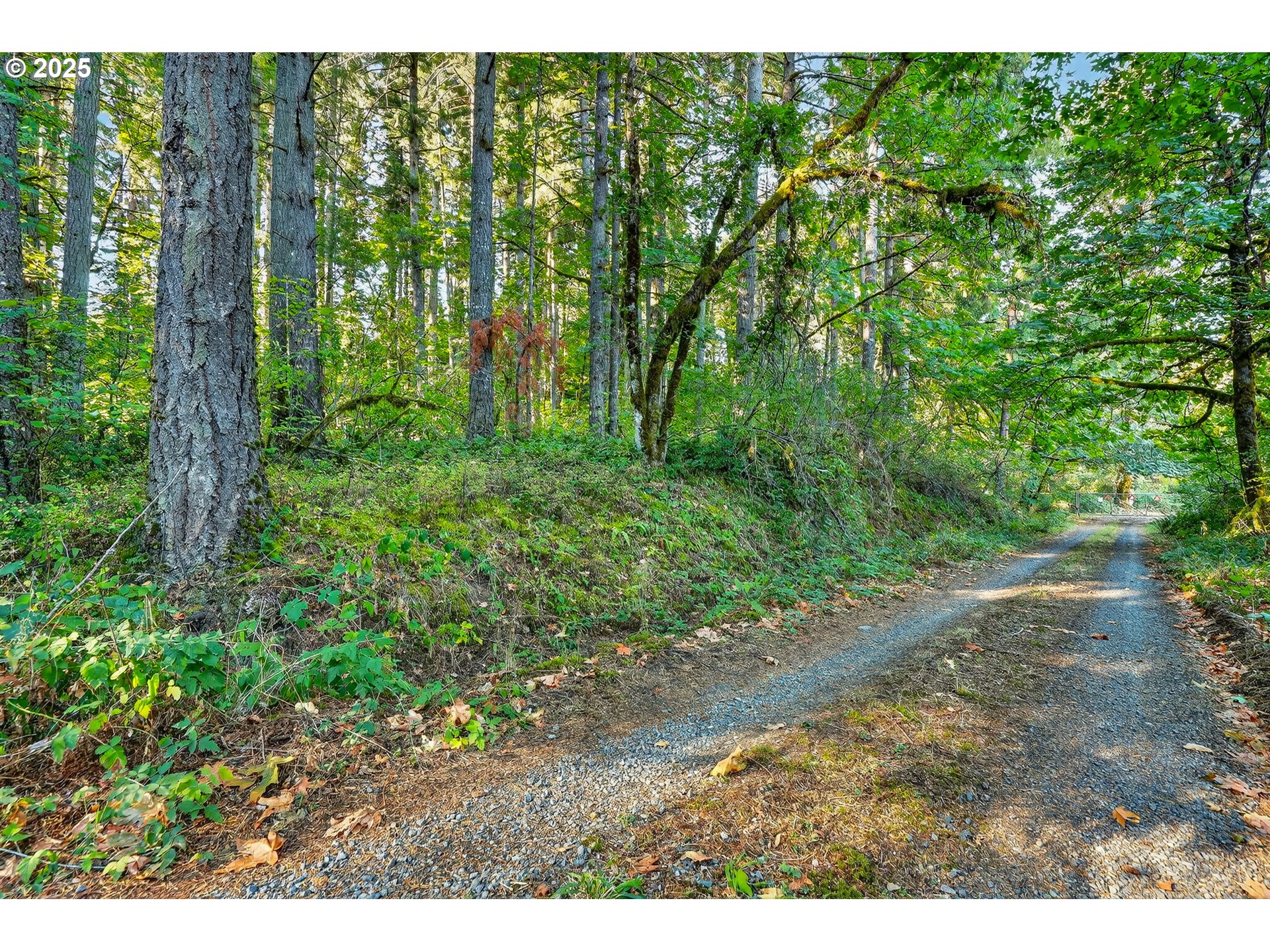 0 South Latourette Road Oregon City, OR 97045 - Photo 29 of 33 a view of a yard with plants and a bench