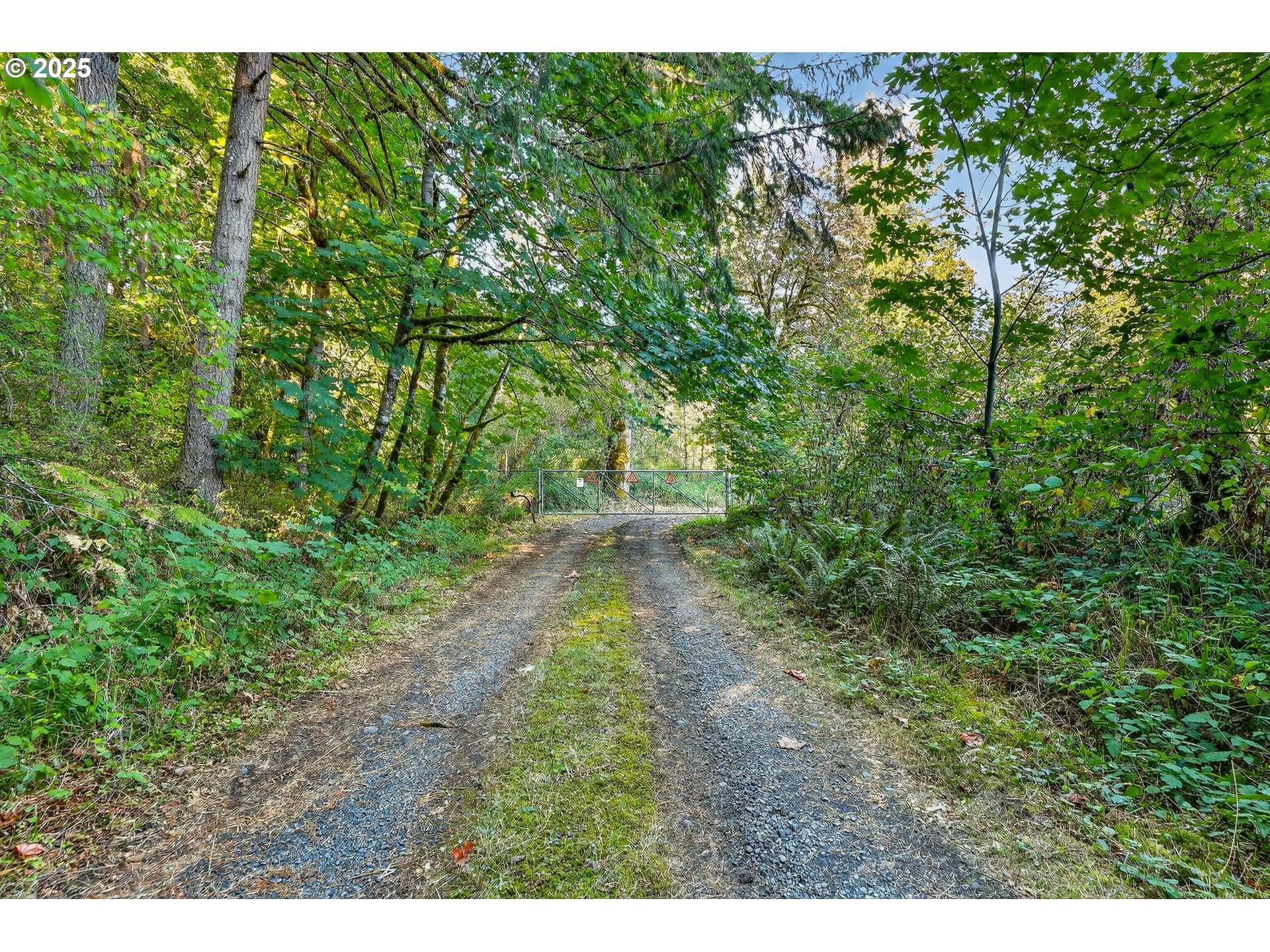 0 South Latourette Road Oregon City, OR 97045 - Photo 30 of 33 a view of a yard with plants and a bench