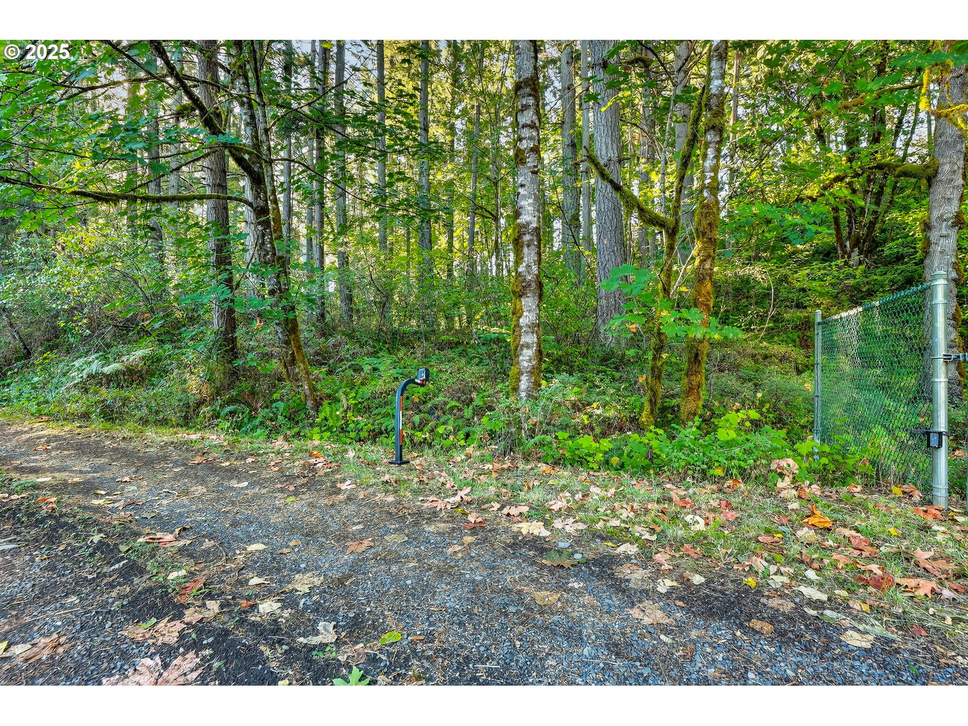 0 South Latourette Road Oregon City, OR 97045 - Photo 31 of 33 a view of a yard with plants and large trees