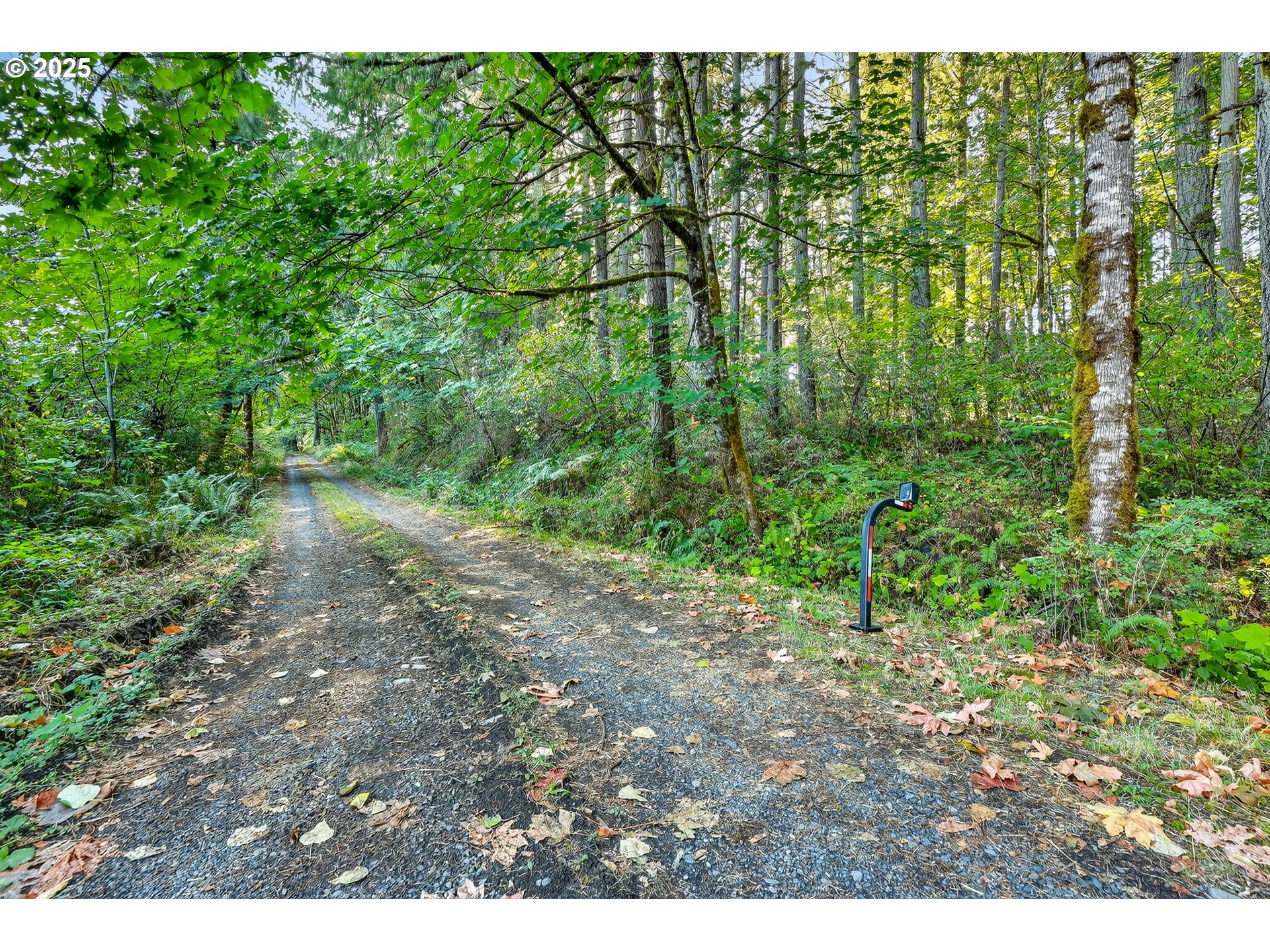 0 South Latourette Road Oregon City, OR 97045 - Photo 32 of 33 a view of a yard with plants and a bench