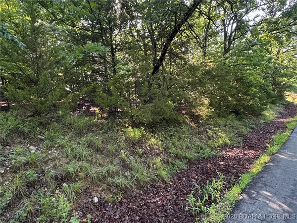 $9,500 | Tbd Tbd Storm Cove Drive, Linn Creek, MO 65052