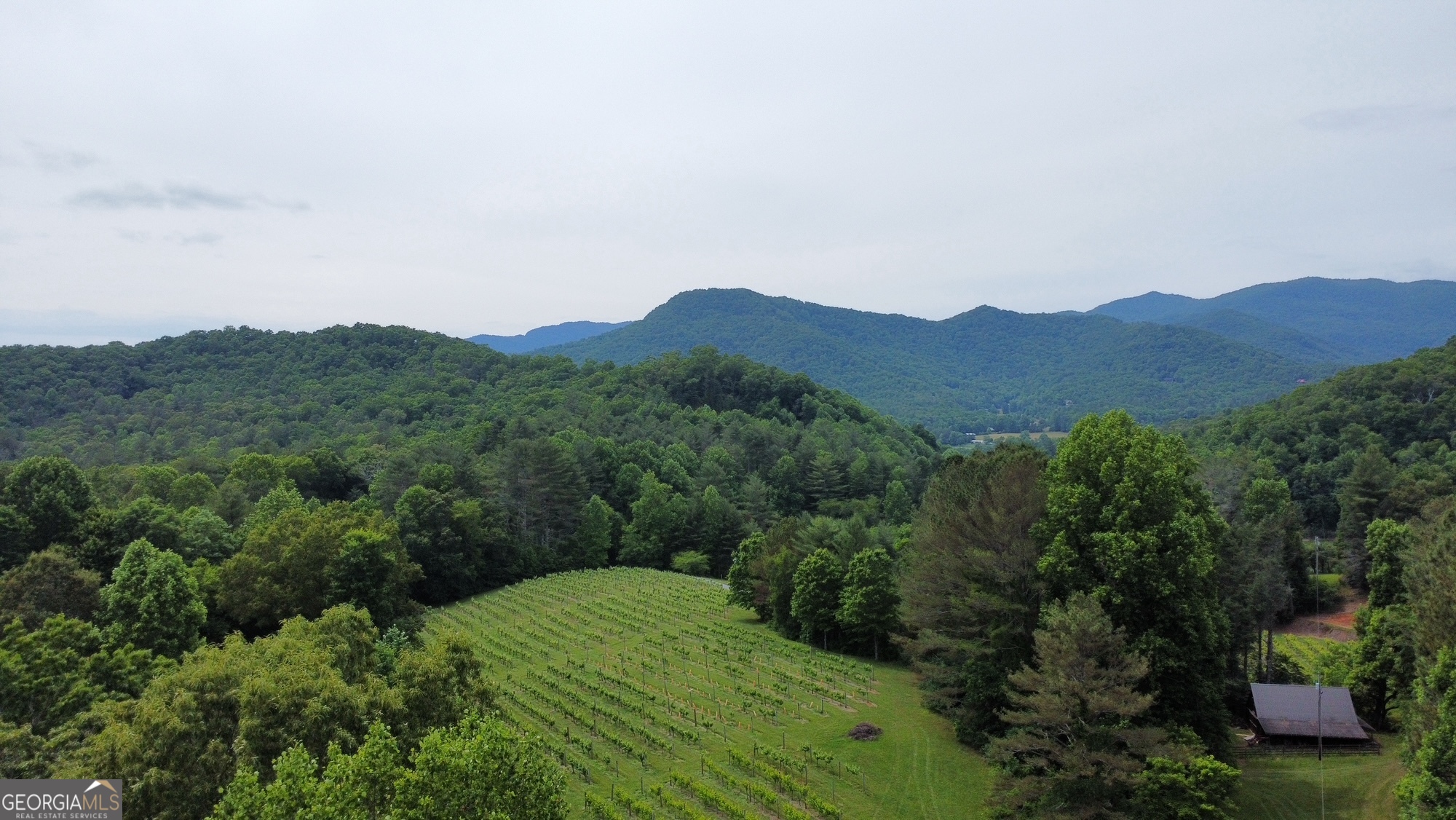 0 Mr Bert Road Hiawassee, GA 30546 - Photo 2 of 22