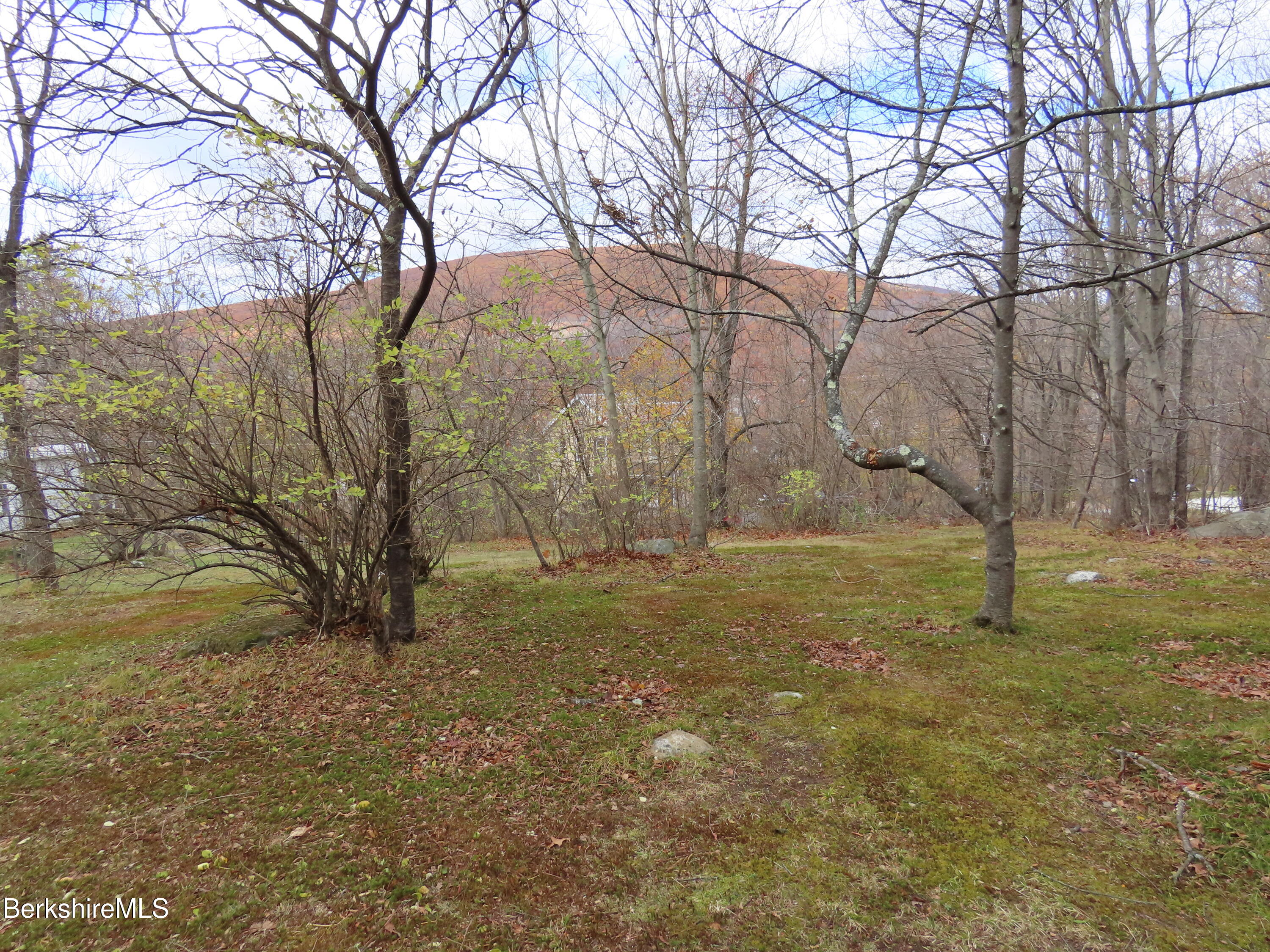 0 Whitman Street North Adams, MA 01247 - Photo 11 of 15 a view of yard with trees