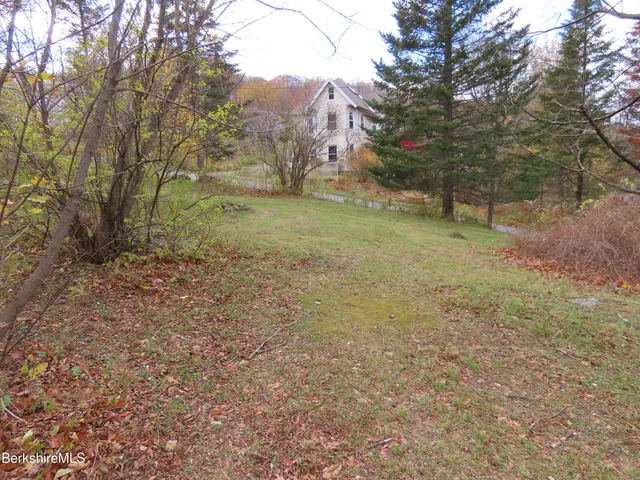 a view of a field with trees in the background